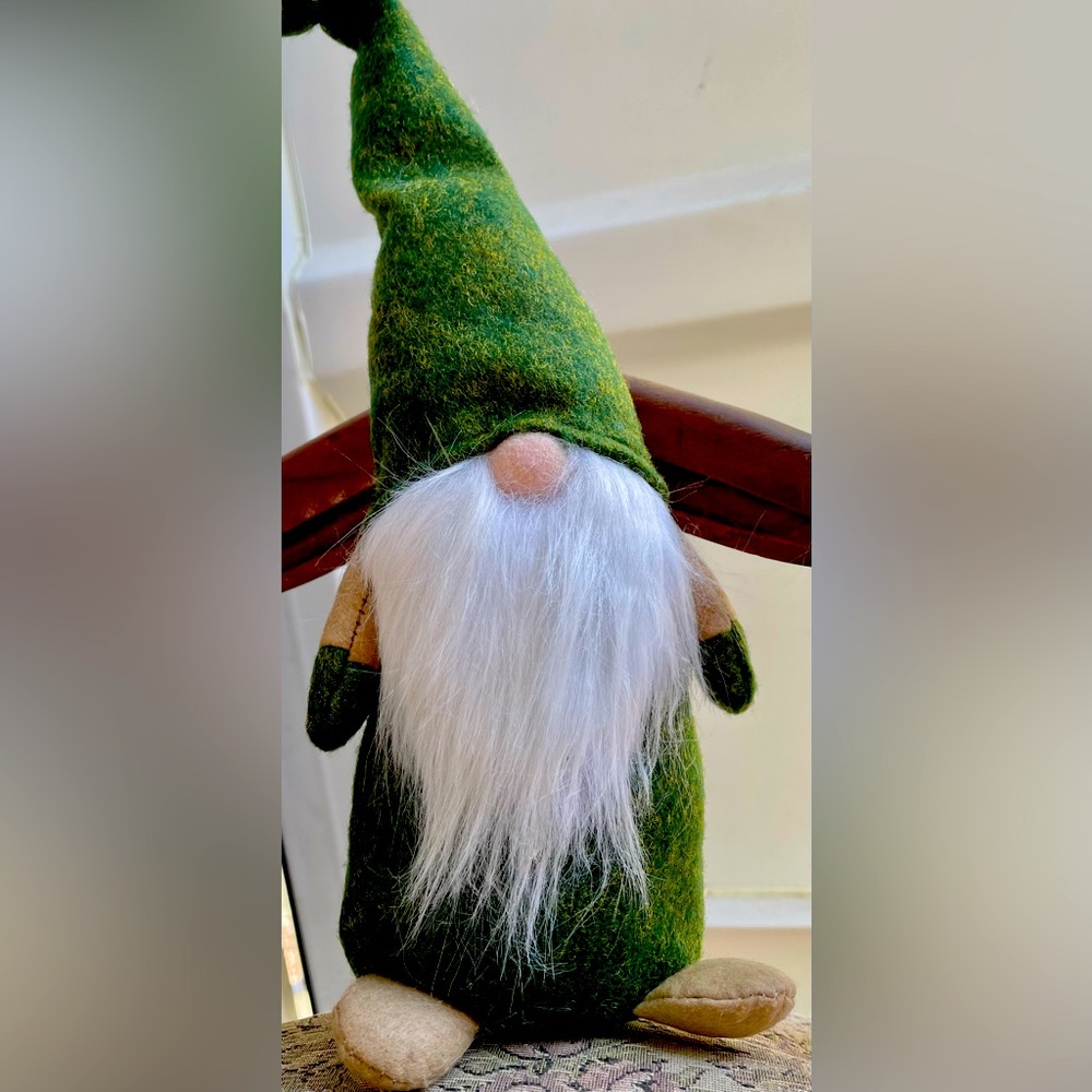 Cute Gnomos 😁🎉